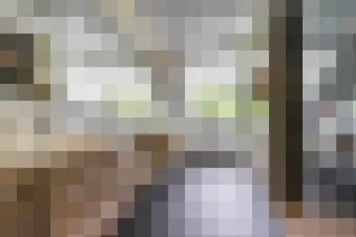 Hekelstraat 11 Mierlo thumbnail 63