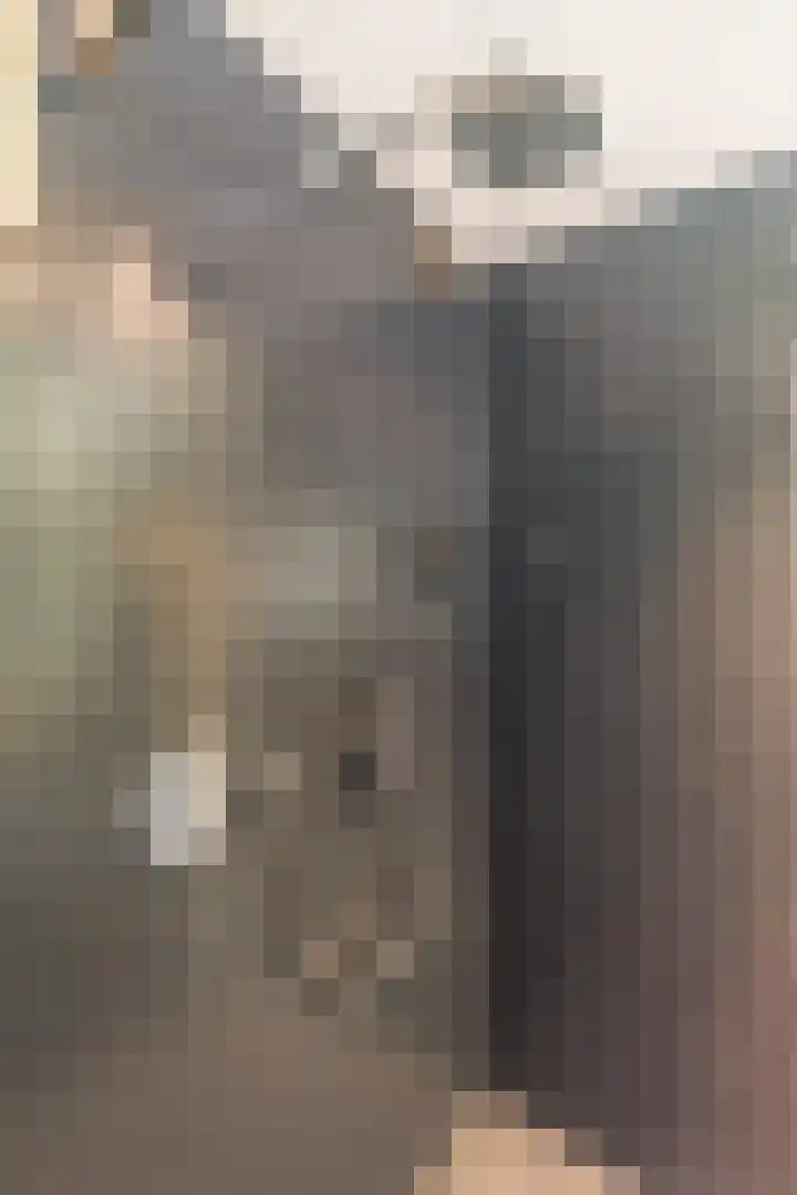 Hekelstraat 11 Mierlo thumbnail 66