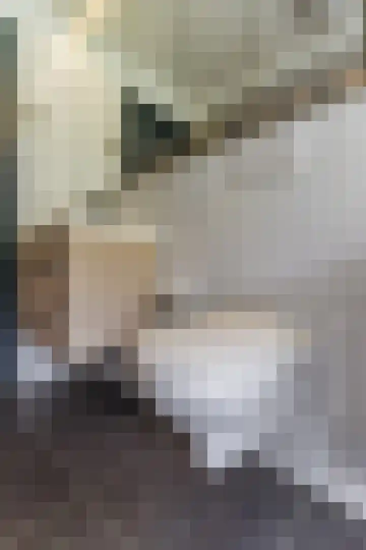 Hekelstraat 11 Mierlo thumbnail 67