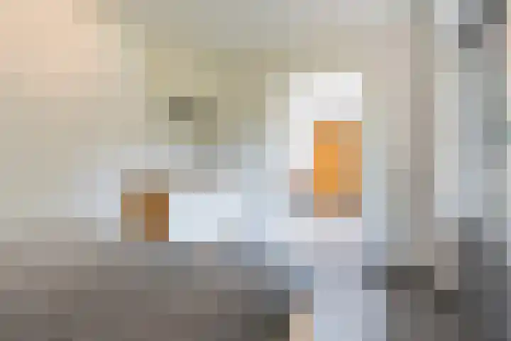 Hekelstraat 11 Mierlo thumbnail 69