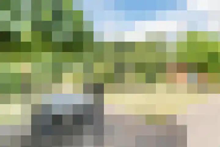 Hekelstraat 11 Mierlo thumbnail 82