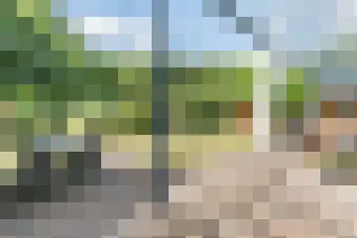 Hekelstraat 11 Mierlo thumbnail 83