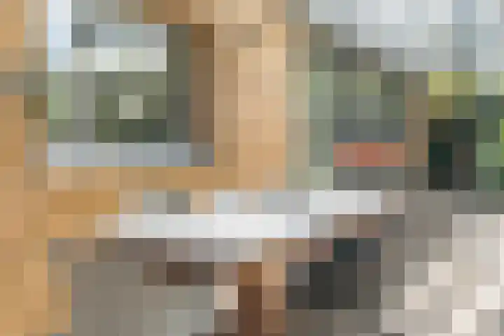 Hekelstraat 11 Mierlo thumbnail 84
