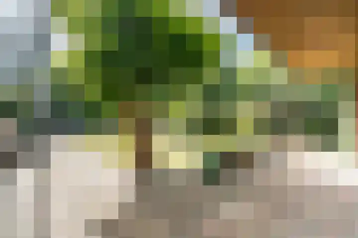 Hekelstraat 11 Mierlo thumbnail 85