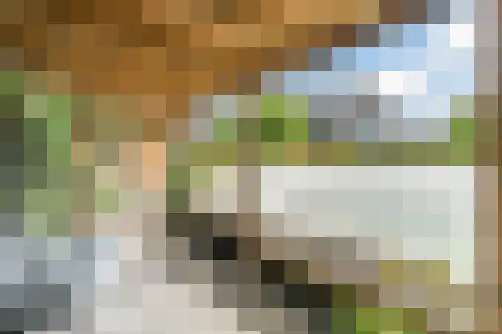 Hekelstraat 11 Mierlo thumbnail 87