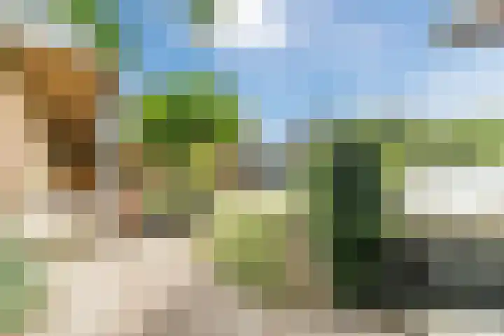 Hekelstraat 11 Mierlo thumbnail 89