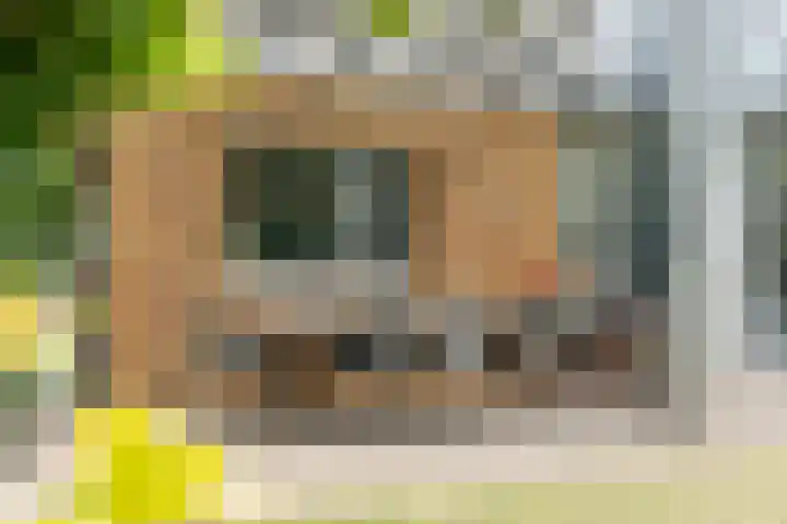 Hekelstraat 11 Mierlo thumbnail 90