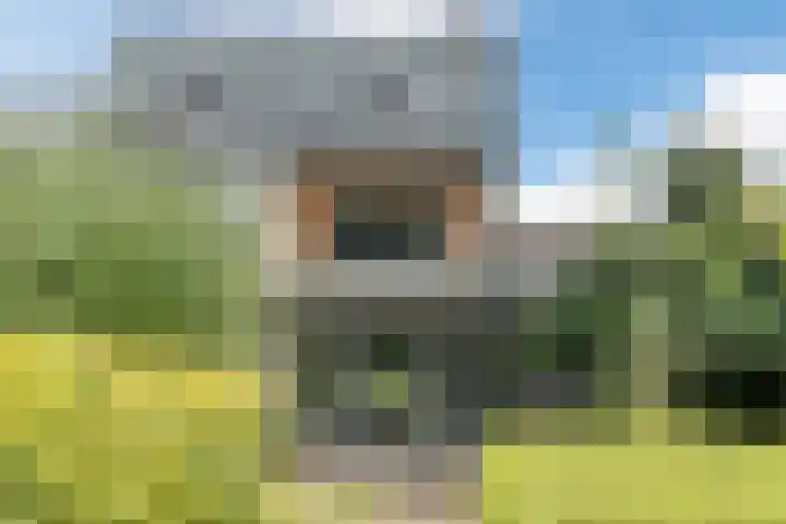 Hekelstraat 11 Mierlo thumbnail 95