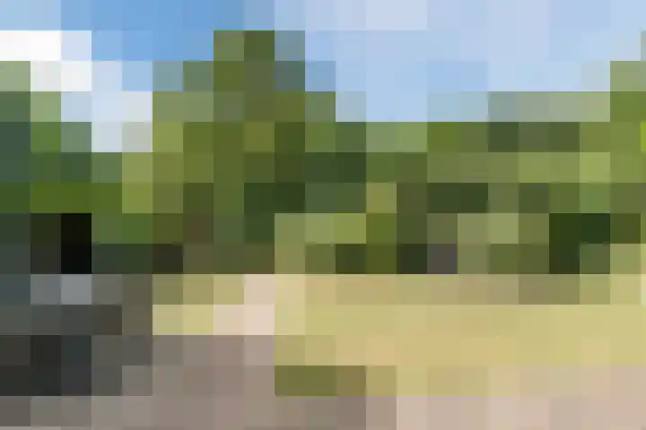 Hekelstraat 11 Mierlo thumbnail 96