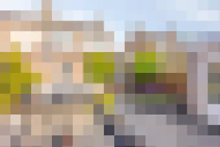 Hekelstraat 13 Oss thumbnail 26