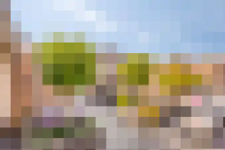 Hekelstraat 13 Oss thumbnail 27