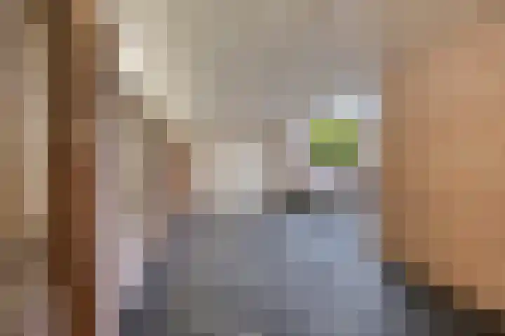 Hekelstraat 13 Oss thumbnail 29
