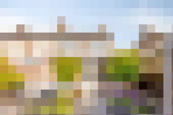 Hekelstraat 13 Oss thumbnail 30