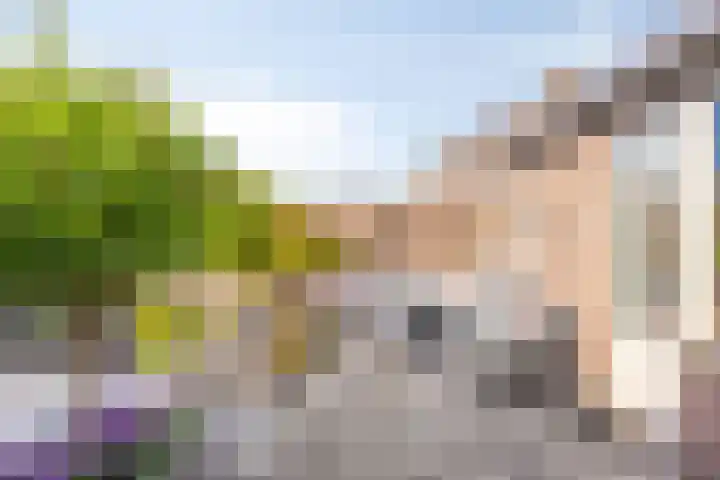 Hekelstraat 13 Oss thumbnail 31