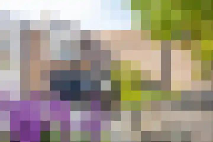 Hekelstraat 13 Oss thumbnail 33