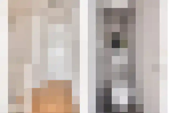 Hekelstraat 13 Oss thumbnail 35