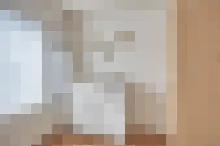 Hekelstraat 13 Oss thumbnail 43