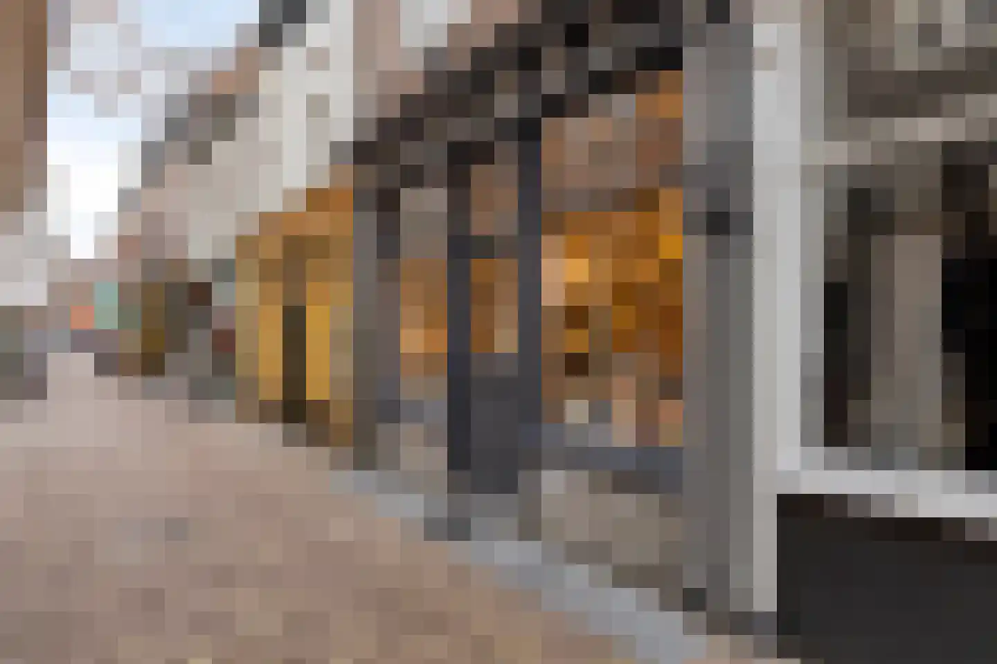 Hekelstraat 14 Alkmaar thumbnail 10