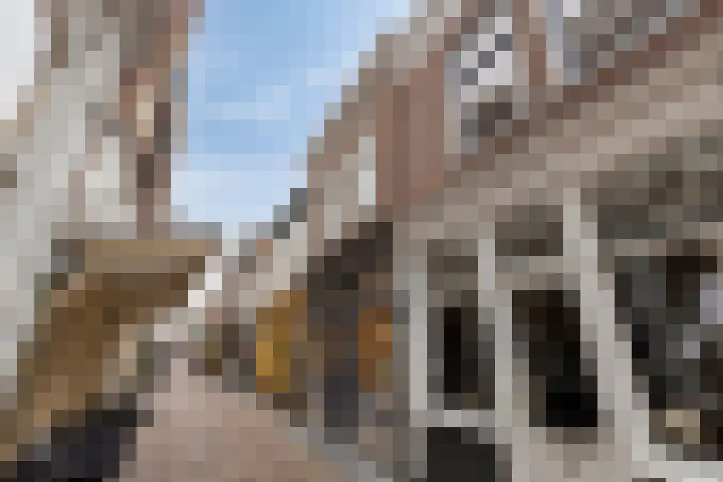 Hekelstraat 14 Alkmaar thumbnail 11