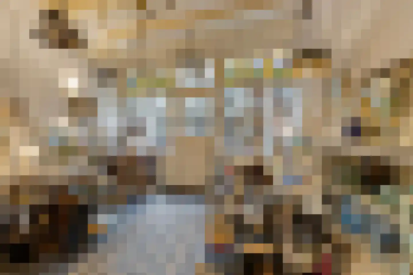 Hekelstraat 14 Alkmaar thumbnail 14