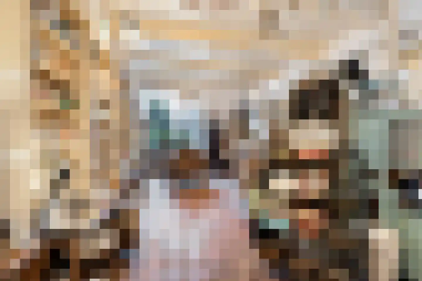 Hekelstraat 14 Alkmaar thumbnail 15