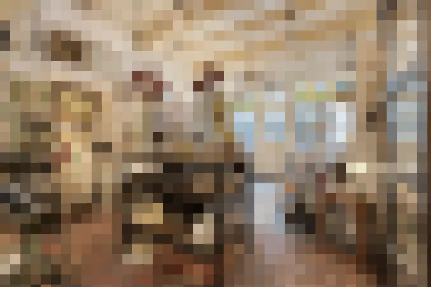 Hekelstraat 14 Alkmaar thumbnail 18