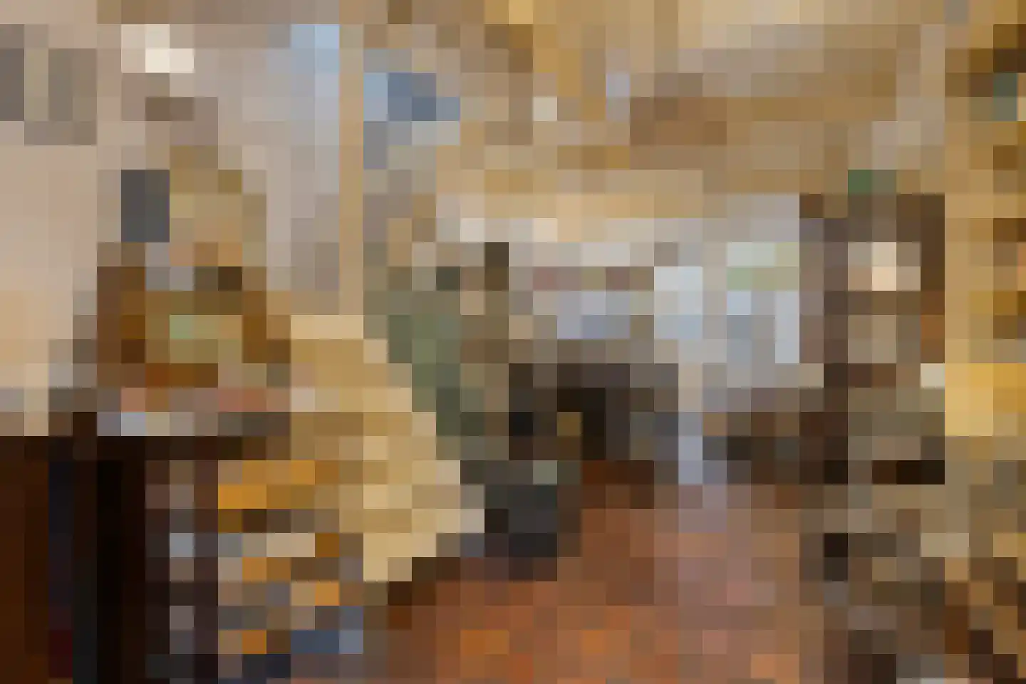 Hekelstraat 14 Alkmaar thumbnail 19