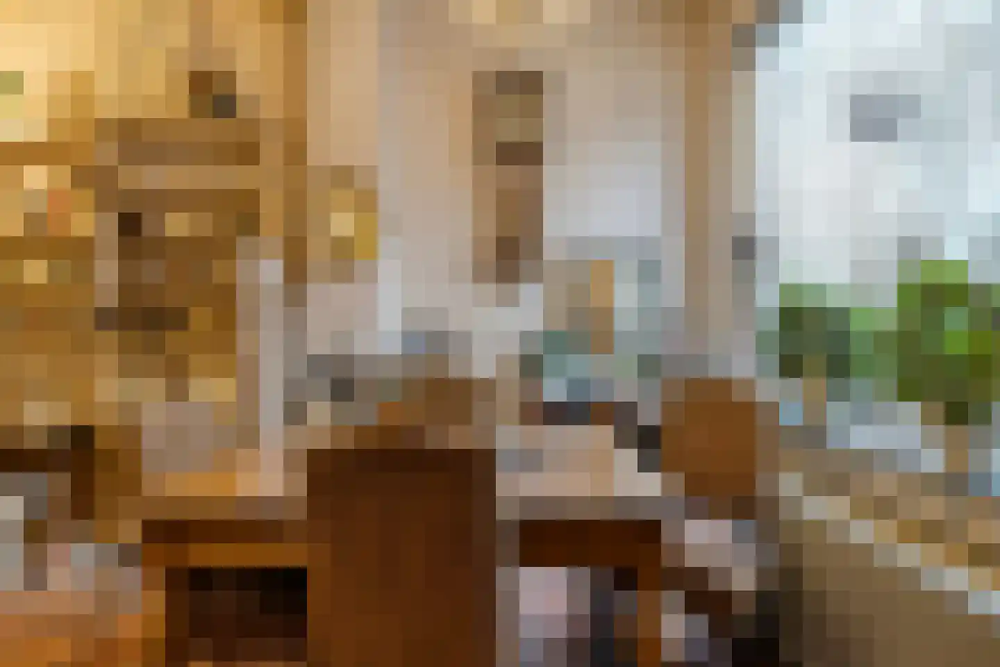Hekelstraat 14 Alkmaar thumbnail 21