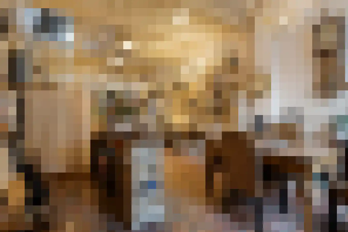 Hekelstraat 14 Alkmaar thumbnail 22