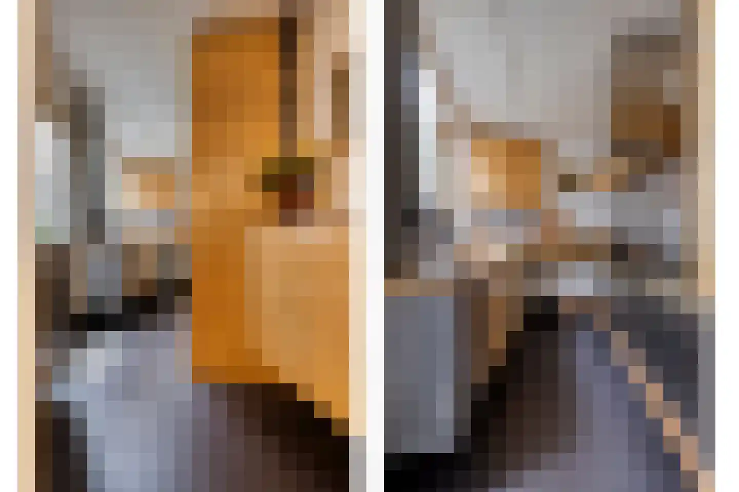 Hekelstraat 14 Alkmaar thumbnail 29