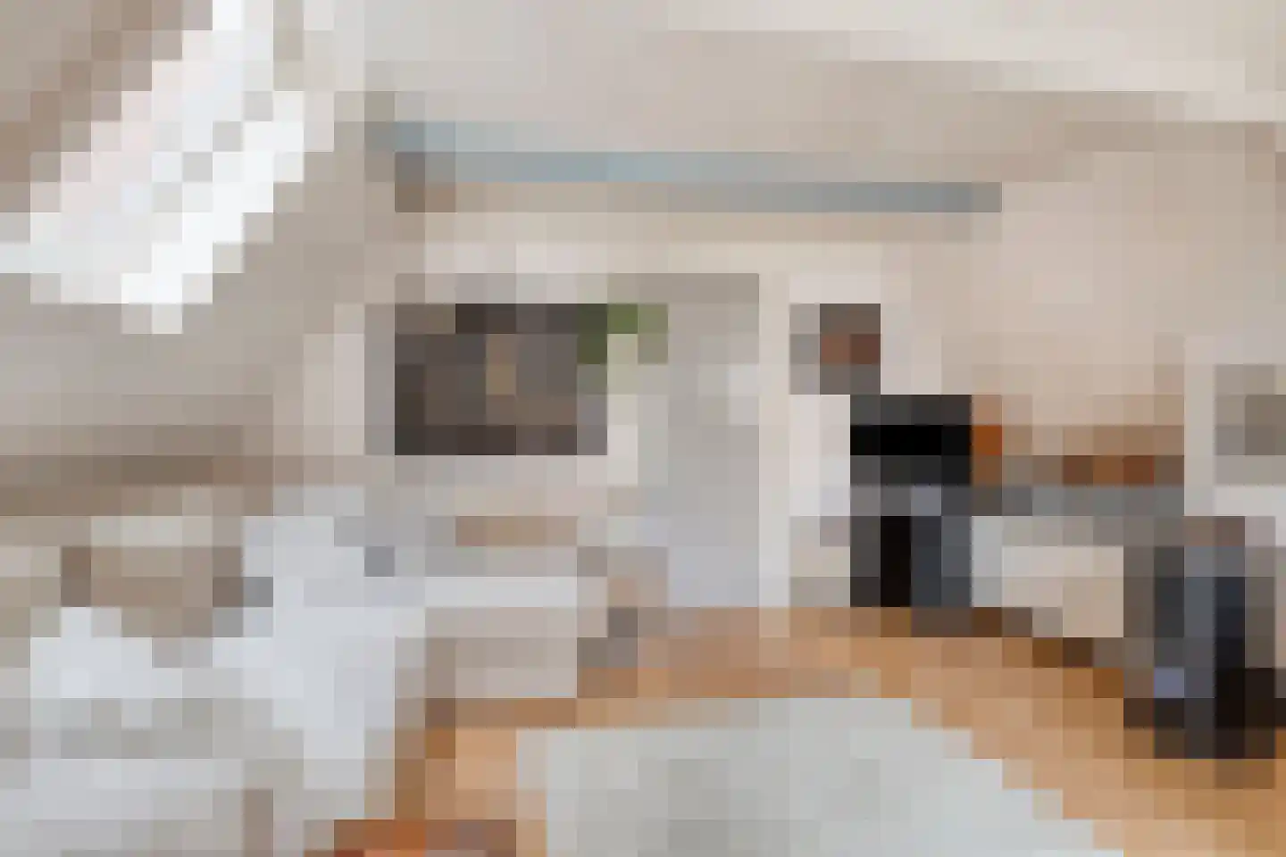 Hekelstraat 14 Alkmaar thumbnail 37