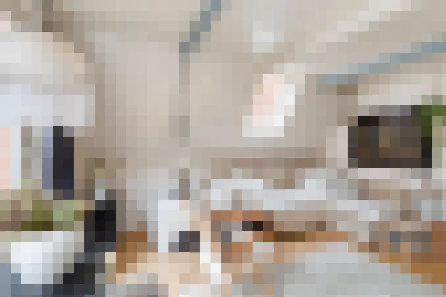 Hekelstraat 14 Alkmaar thumbnail 38