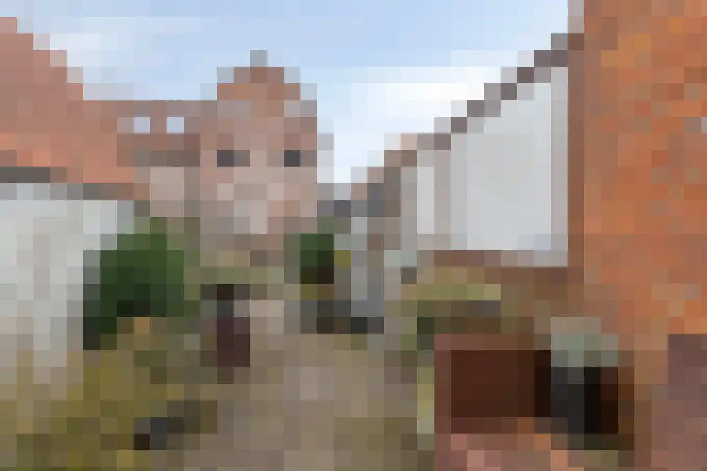 Hekelstraat 14 Alkmaar thumbnail 41