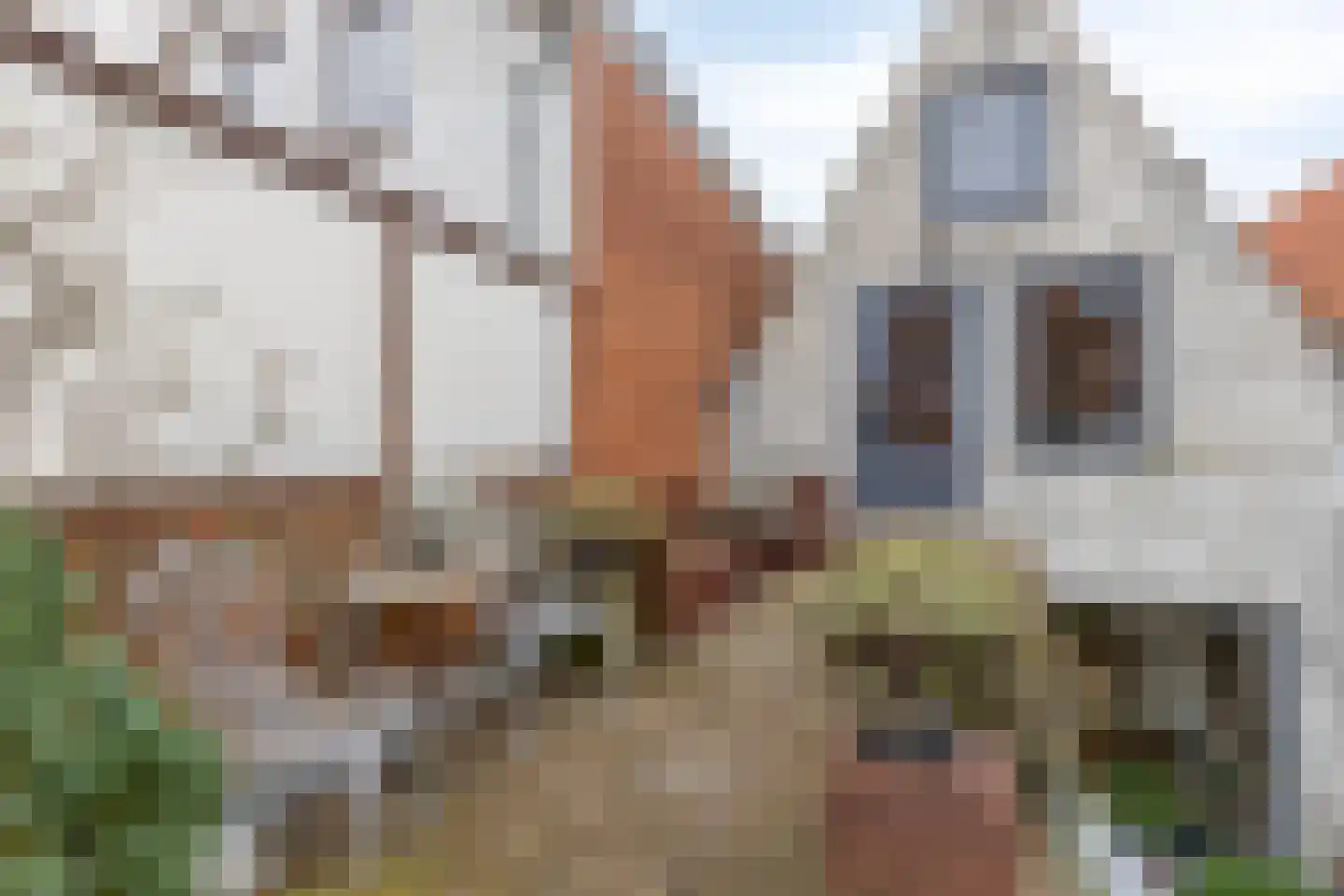 Hekelstraat 14 Alkmaar thumbnail 43