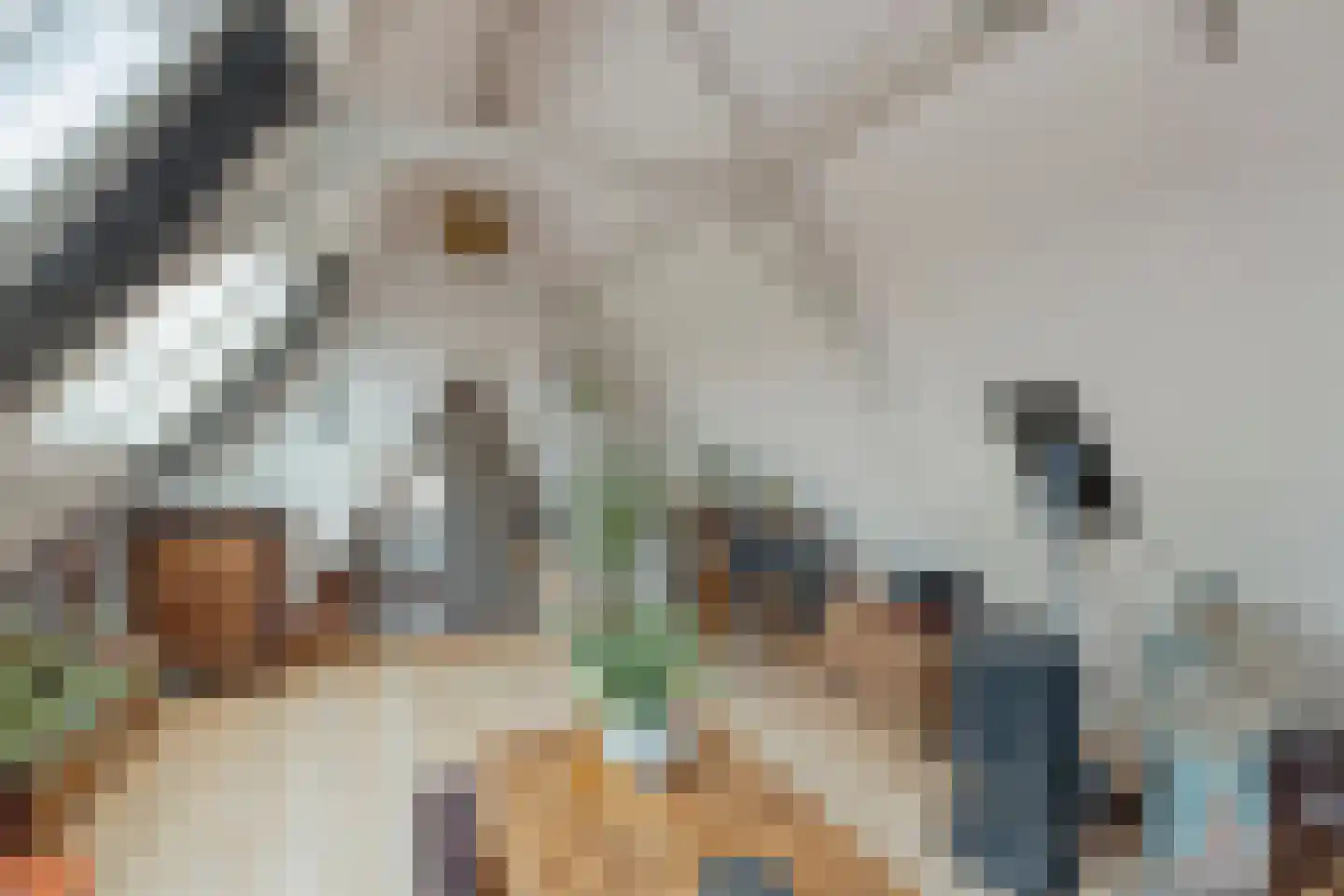 Hekelstraat 14 Alkmaar thumbnail 47