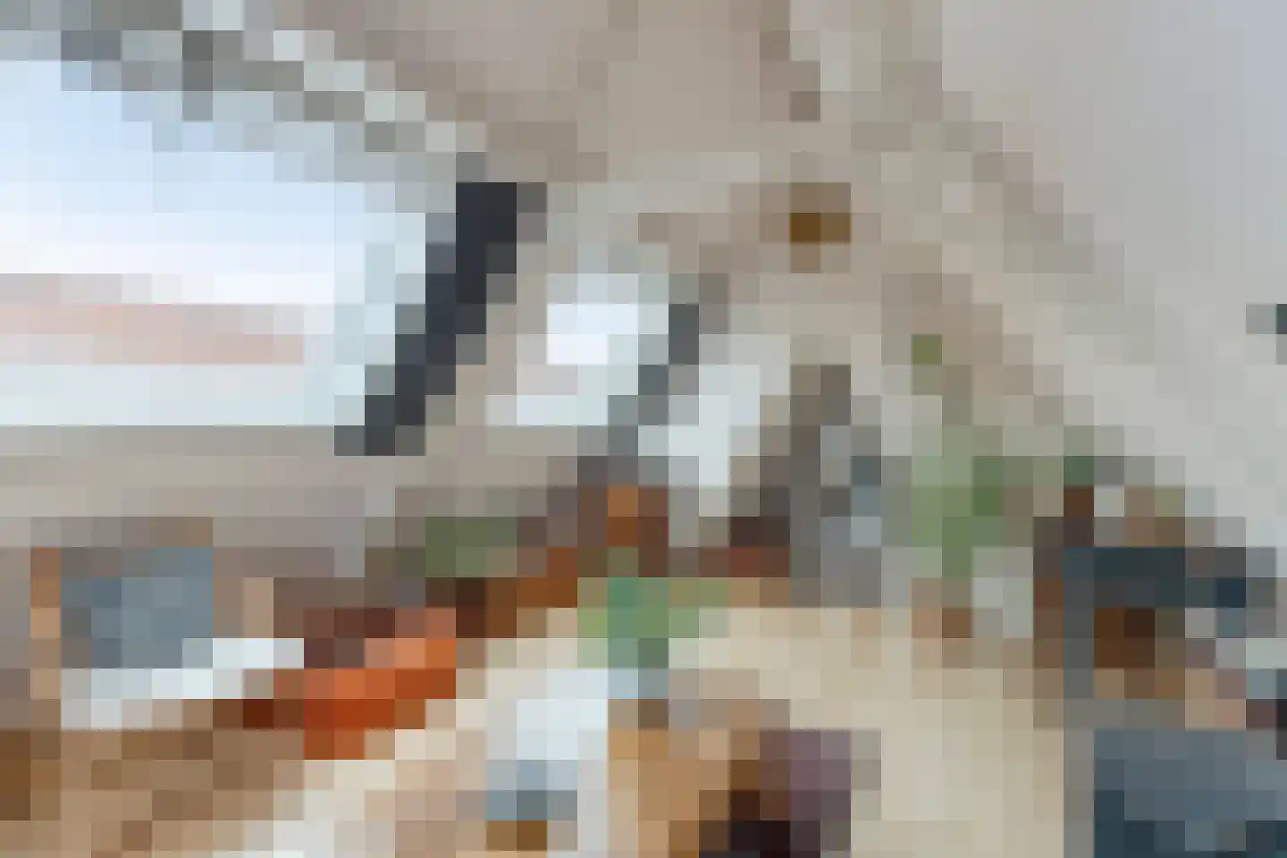 Hekelstraat 14 Alkmaar thumbnail 48