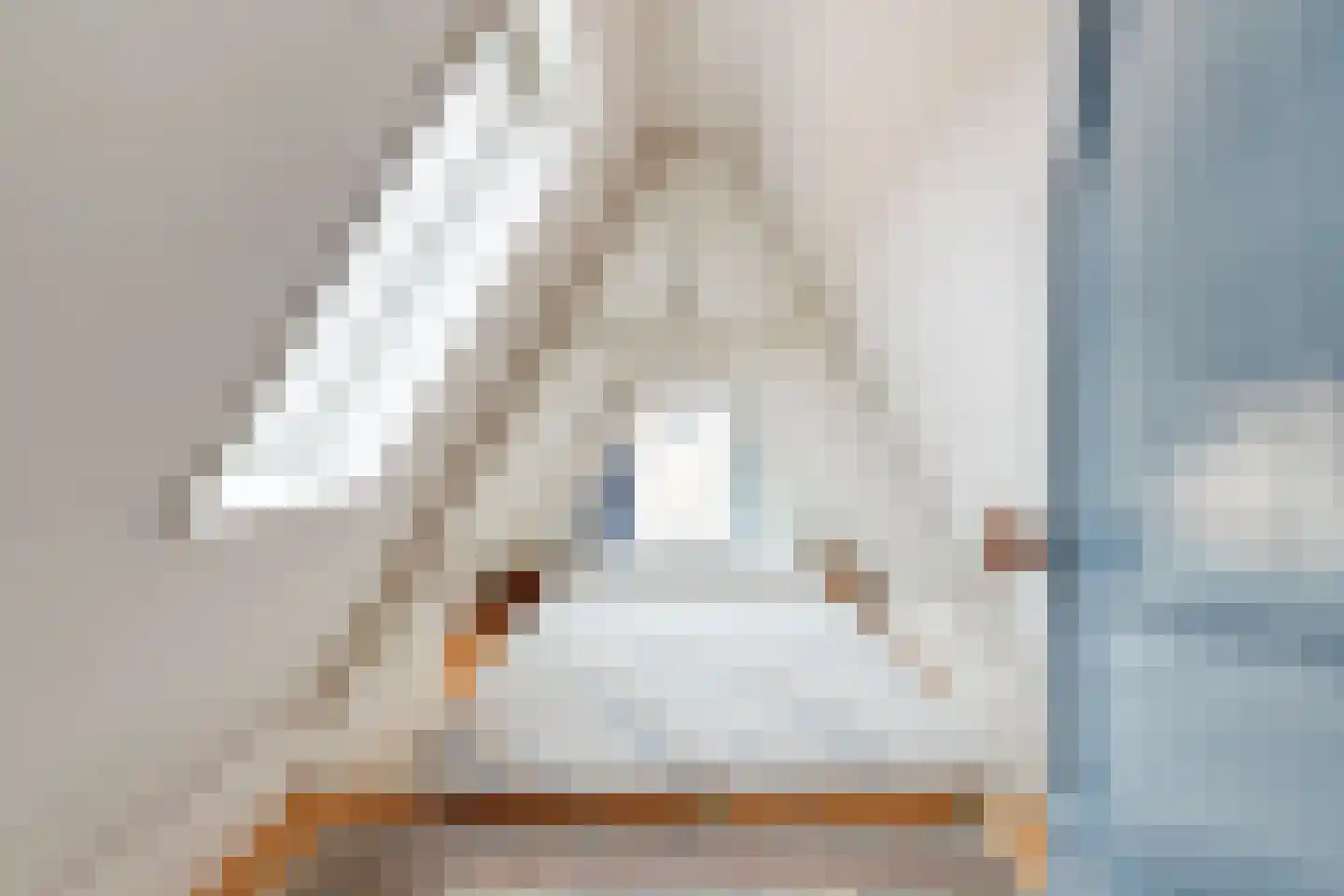 Hekelstraat 14 Alkmaar thumbnail 49