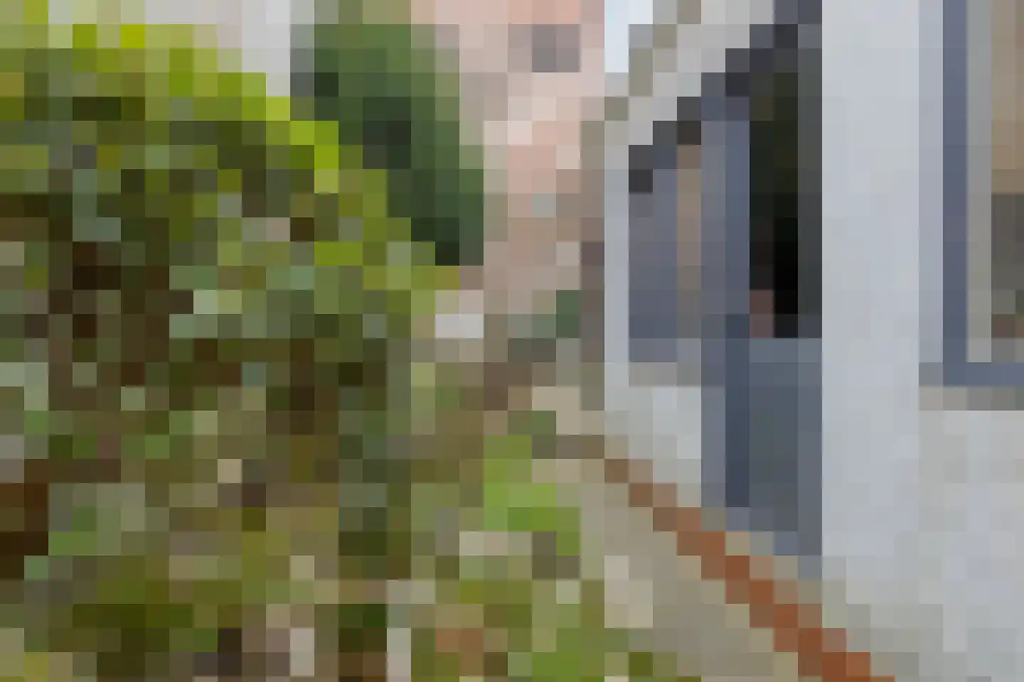 Hekelstraat 14 Alkmaar thumbnail 52