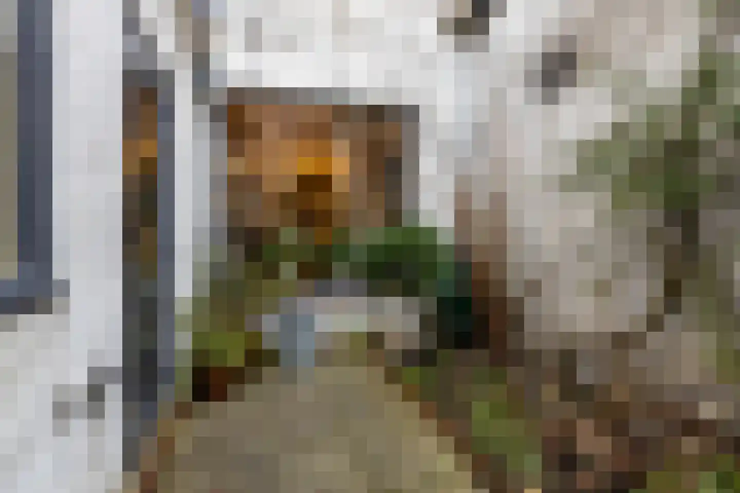 Hekelstraat 14 Alkmaar thumbnail 53