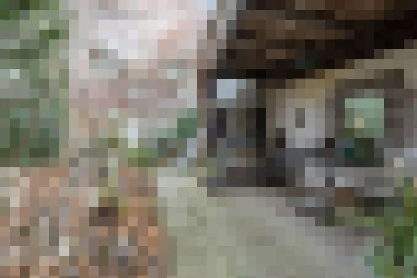 Hekelstraat 14 Alkmaar thumbnail 54