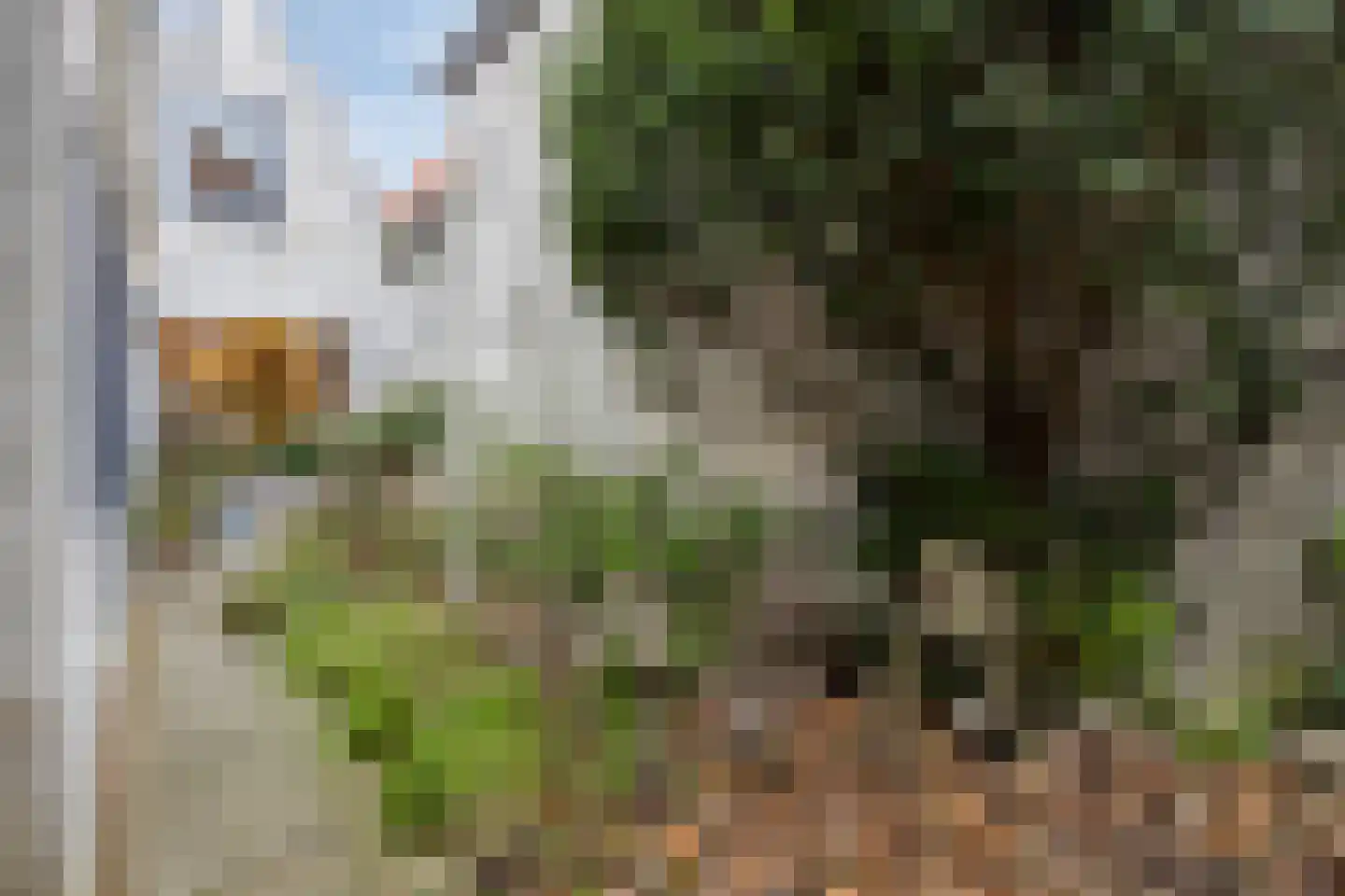 Hekelstraat 14 Alkmaar thumbnail 55