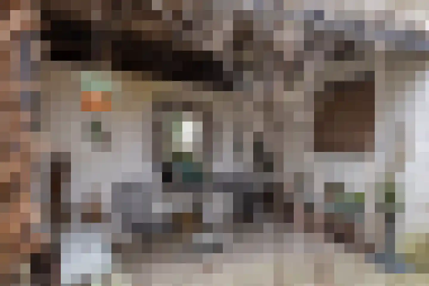 Hekelstraat 14 Alkmaar thumbnail 56