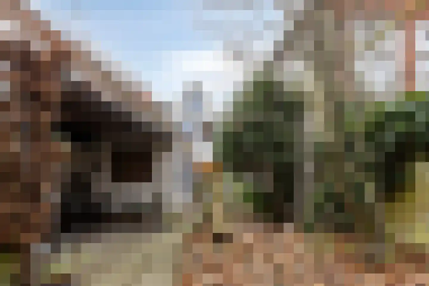 Hekelstraat 14 Alkmaar thumbnail 58