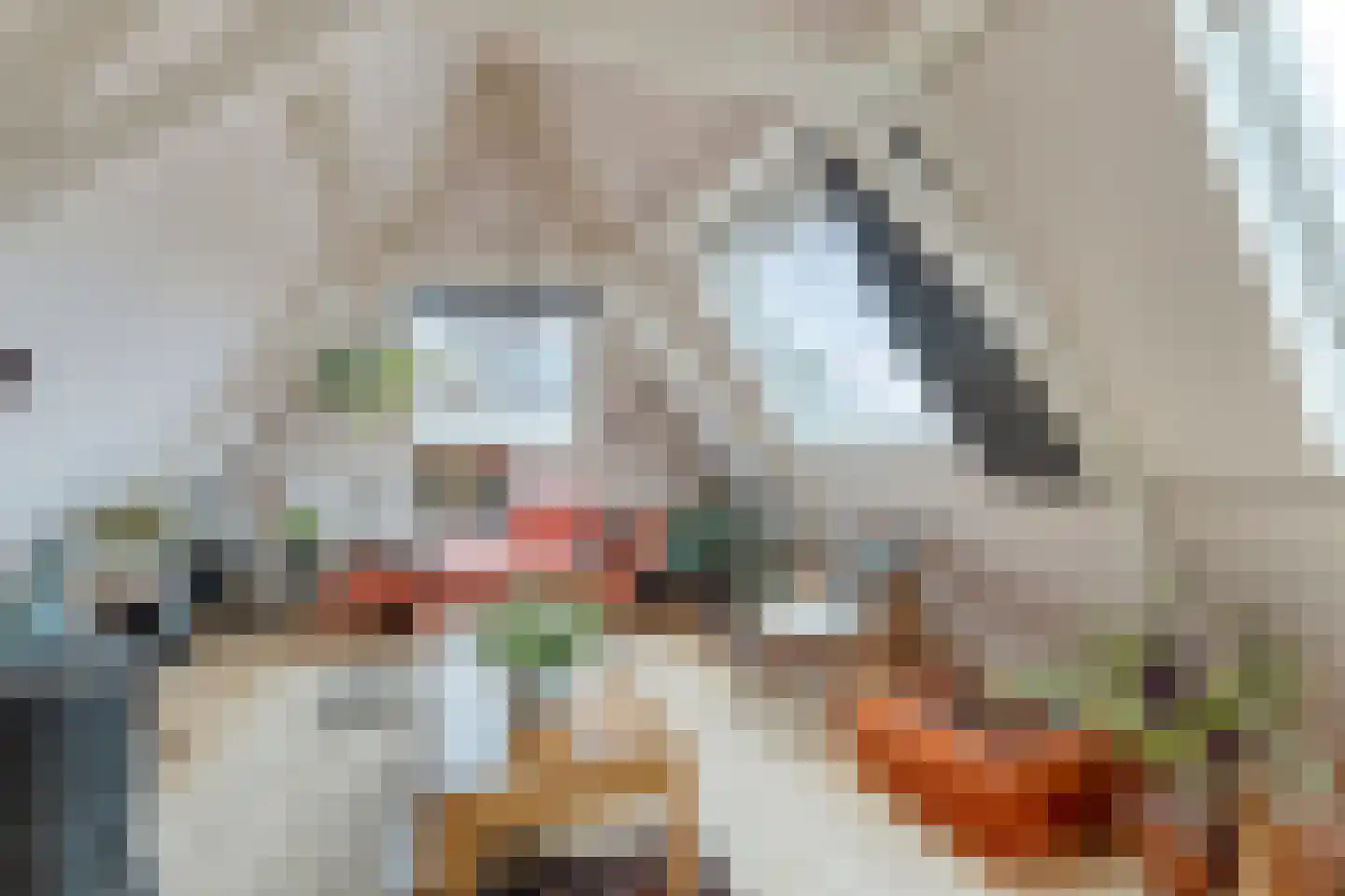 Hekelstraat 14 Alkmaar thumbnail 6