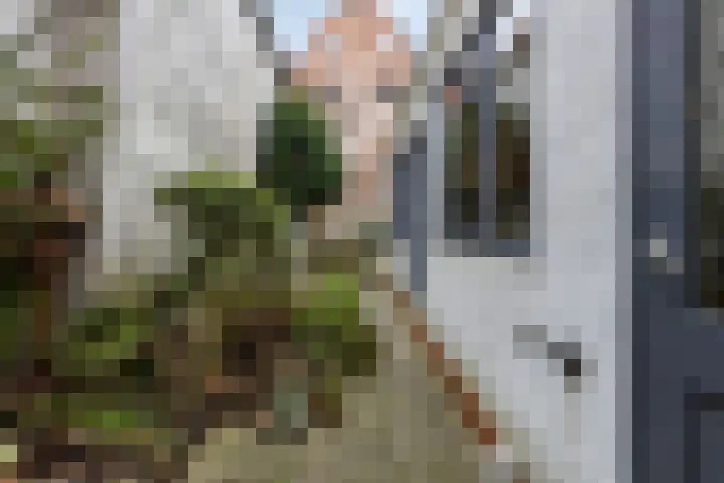 Hekelstraat 14 Alkmaar thumbnail 7