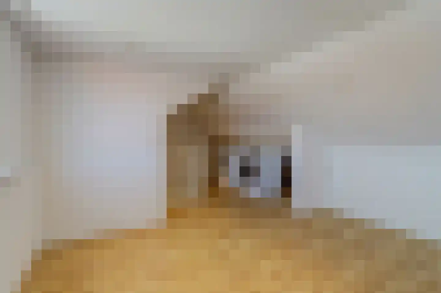 Hekelstraat 20 Reusel thumbnail 31