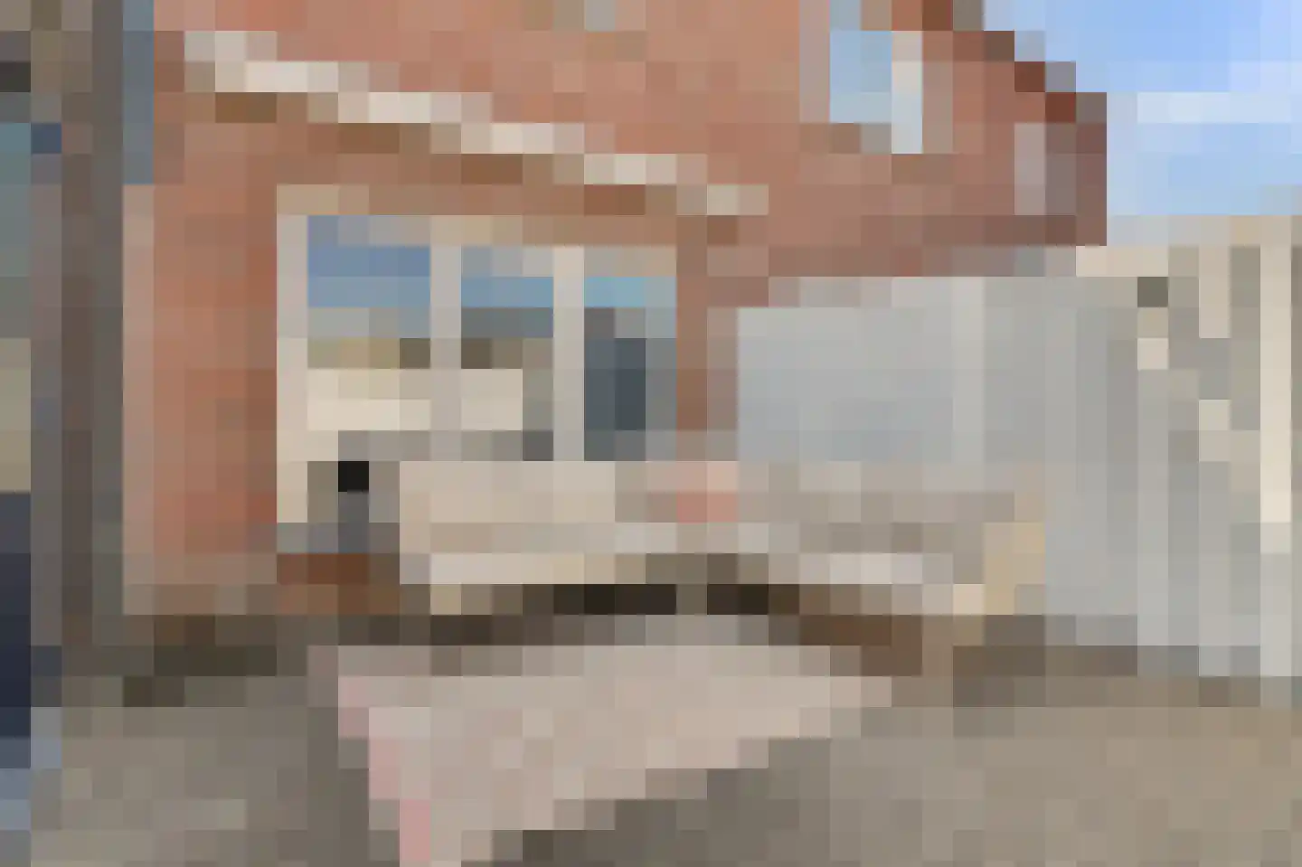 Hekelstraat 20 Reusel thumbnail 33