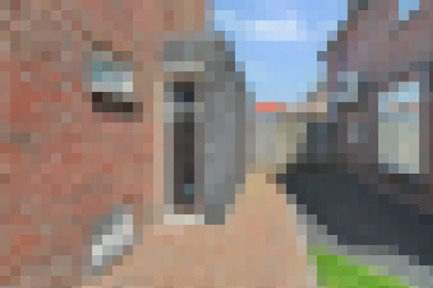 Hekelstraat 20 Reusel thumbnail 7
