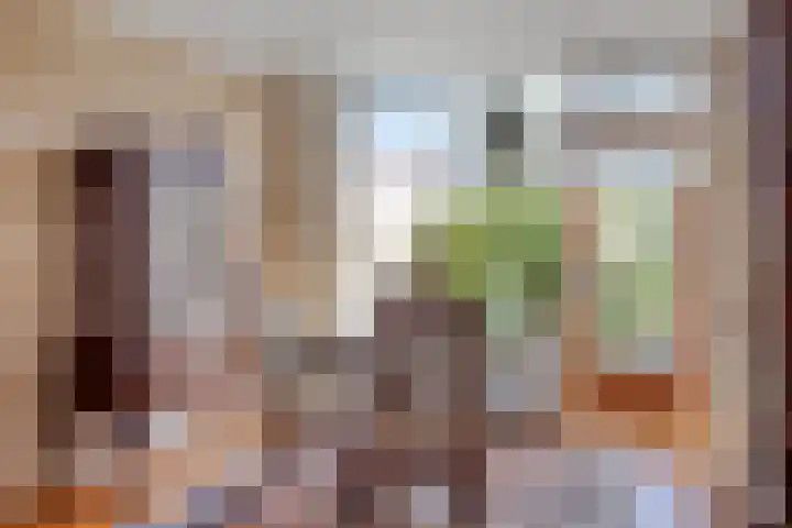 Hekelstraat 28 Oss thumbnail 10