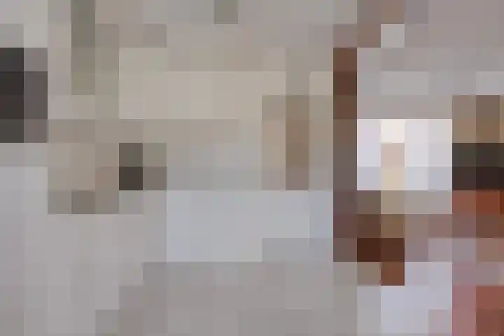 Hekelstraat 28 Oss thumbnail 11